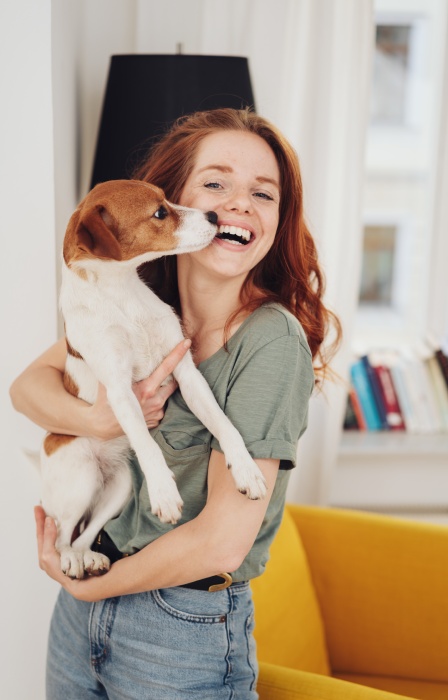 A red-headed woman laughs as she holds a Jack Russell terrier in her arms in a living room.