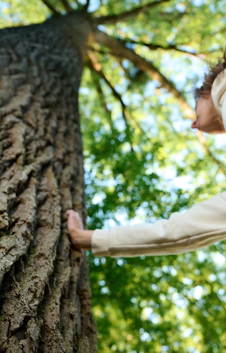 A person is placing a hand on the trunk of a large mature tree while looking up into the leafy canopy from below.
