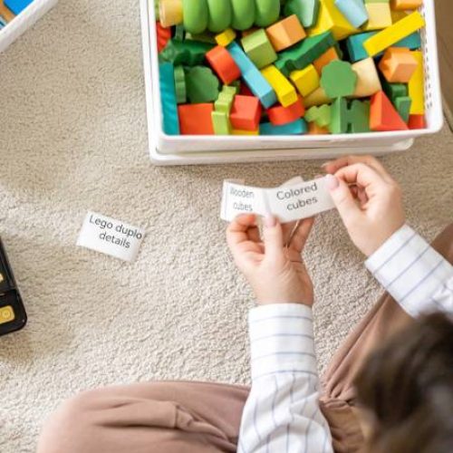 A woman sits on a white area rug surrounded by bins of toys. A label maker sits in front of her, and she holds several labels.