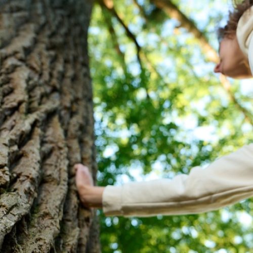 A person is placing a hand on the trunk of a large mature tree while looking up into the leafy canopy from below.